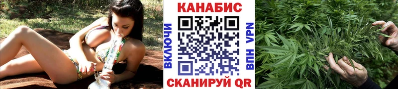 KRAKEN   наркота  Андреаполь  Каннабис планчик 